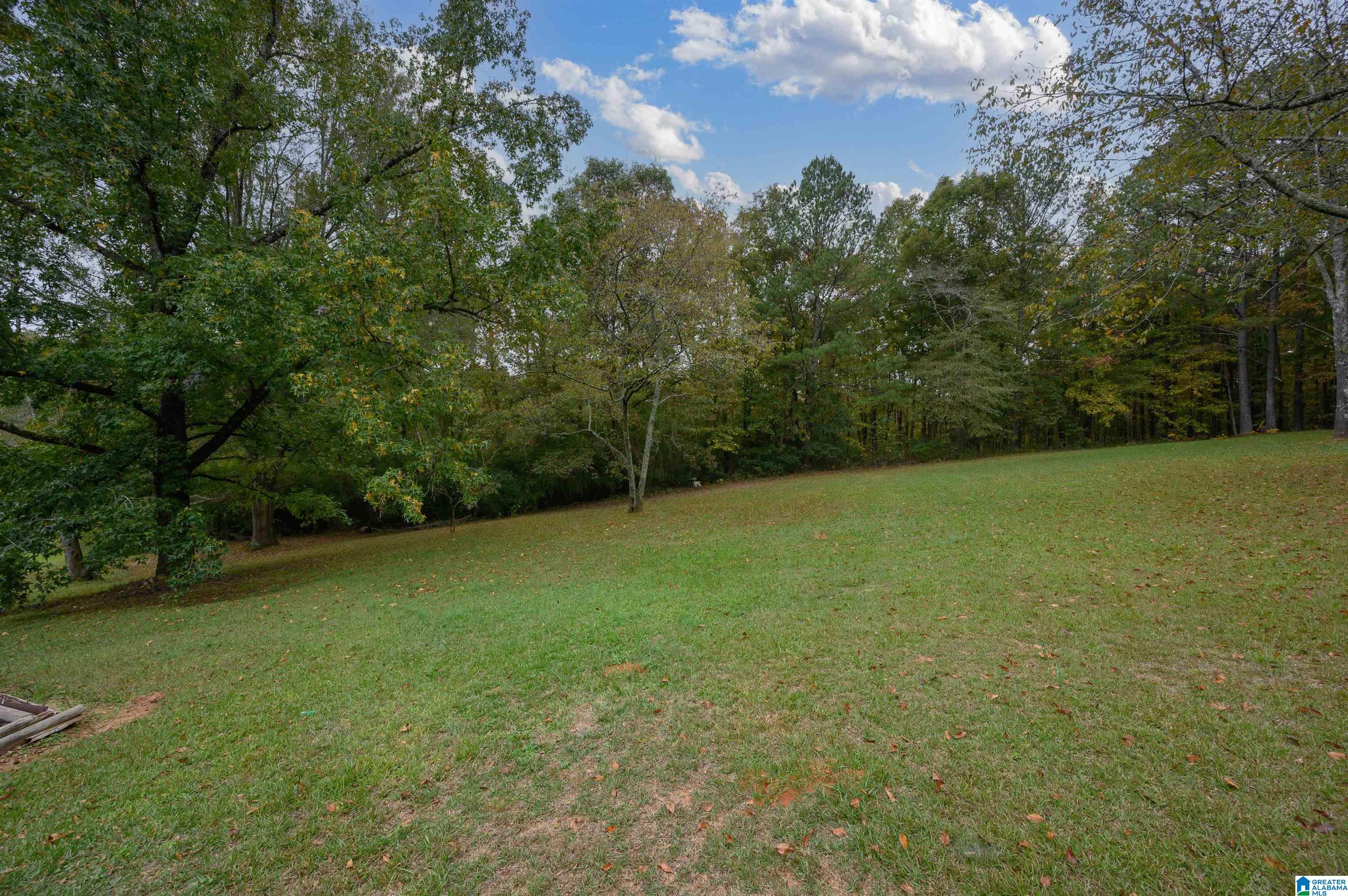 8988 Bankston Road Warrior, AL 35180 - Photo 43 of 47