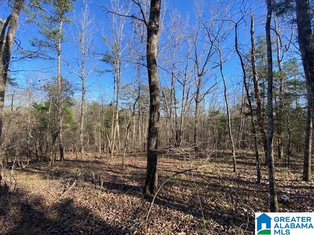 569 Ridge View Drive, Unit 5 AC Trussville, AL 35173 - Photo 10 of 21