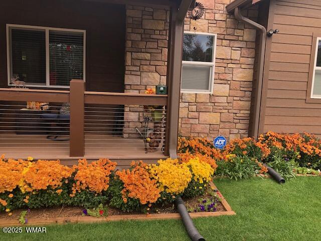 2889 Jacks Road Lakeside, AZ 85929 - Photo 12 of 65 FRONT AUTUM FLOWERS