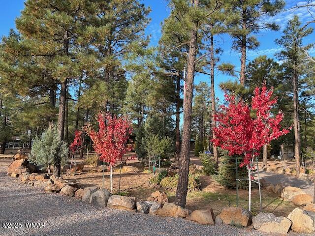 2889 Jacks Road Lakeside, AZ 85929 - Photo 13 of 65 RED MAPLES