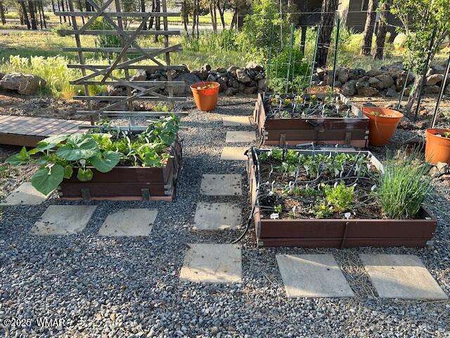 2889 Jacks Road Lakeside, AZ 85929 - Photo 53 of 65 RAISED PLANTER GARDEN