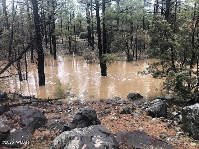 2889 Jacks Road Lakeside, AZ 85929 - Photo 55 of 65 WINTER STREAM