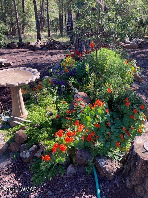 2889 Jacks Road Lakeside, AZ 85929 - Photo 57 of 65 IMG_2873