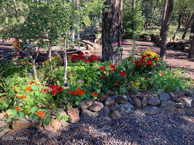 2889 Jacks Road Lakeside, AZ 85929 - Photo 58 of 65 IMG_2875