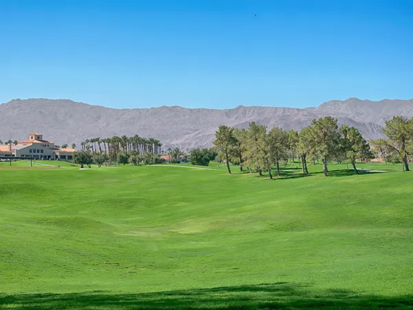 a view of grassy field with mountain in the background