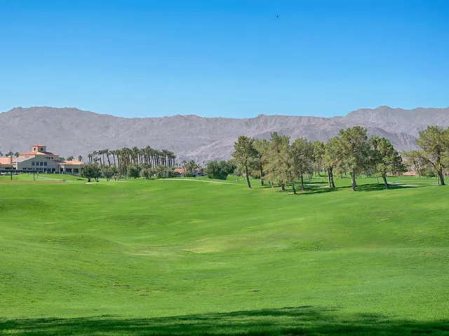 a view of grassy field with mountain in the background