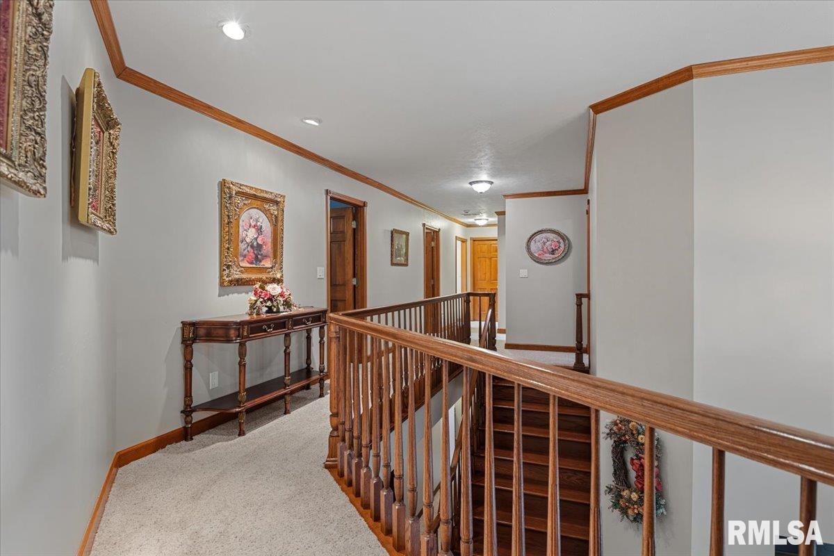 49 Woodland Trail Rochester, IL 62563 - Photo 38 of 98
