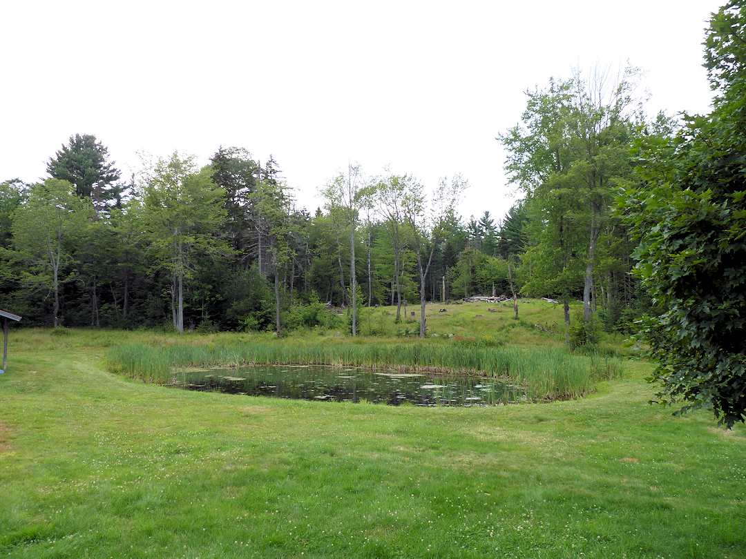 750 Middletown Road Andover, VT 05143 - Photo 19 of 27