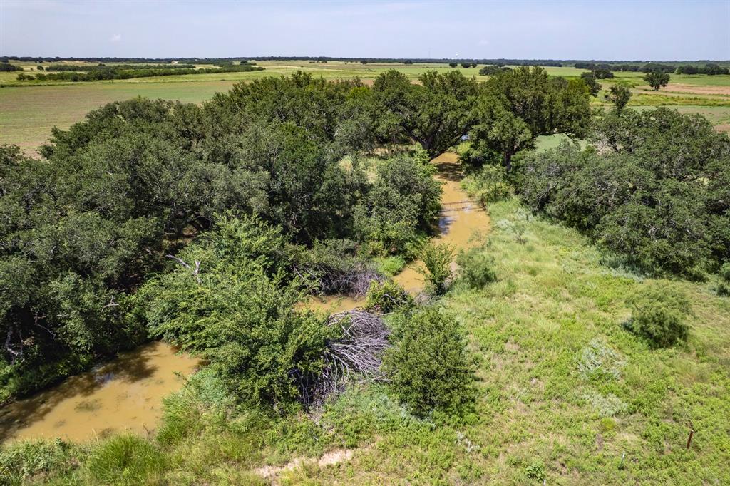 196 County Road 196 Bangs, TX 76823 - Photo 2 of 27 a view of a field and a lake view