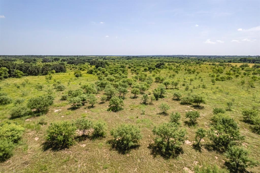 196 County Road 196 Bangs, TX 76823 - Photo 23 of 27 a view of a green field with lots of bushes