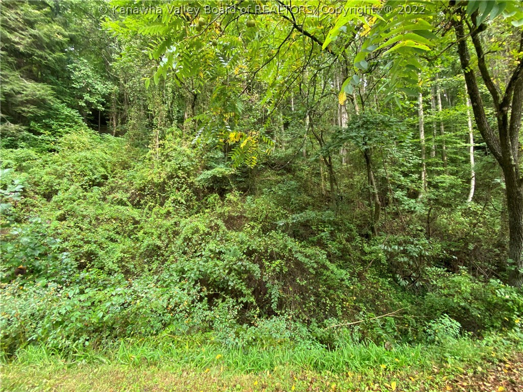 930 South Ruffner Road Charleston, WV 25314 - Photo 11 of 16 Gallery Image 11