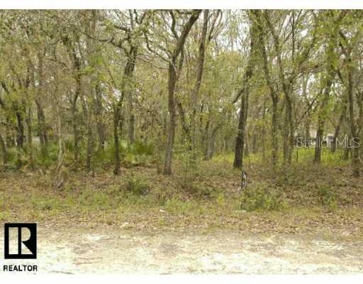 0 Wabayo Street New Port Richey, FL 34654 - Photo 1 of 1 a view of a yard with trees in the background