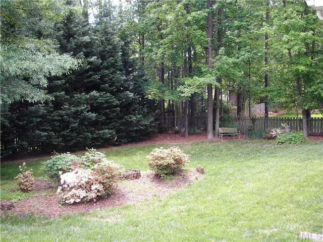 6301 Cape Charles Drive Raleigh, NC 27617 - Photo 11 of 19 a backyard of a house with lots of green space