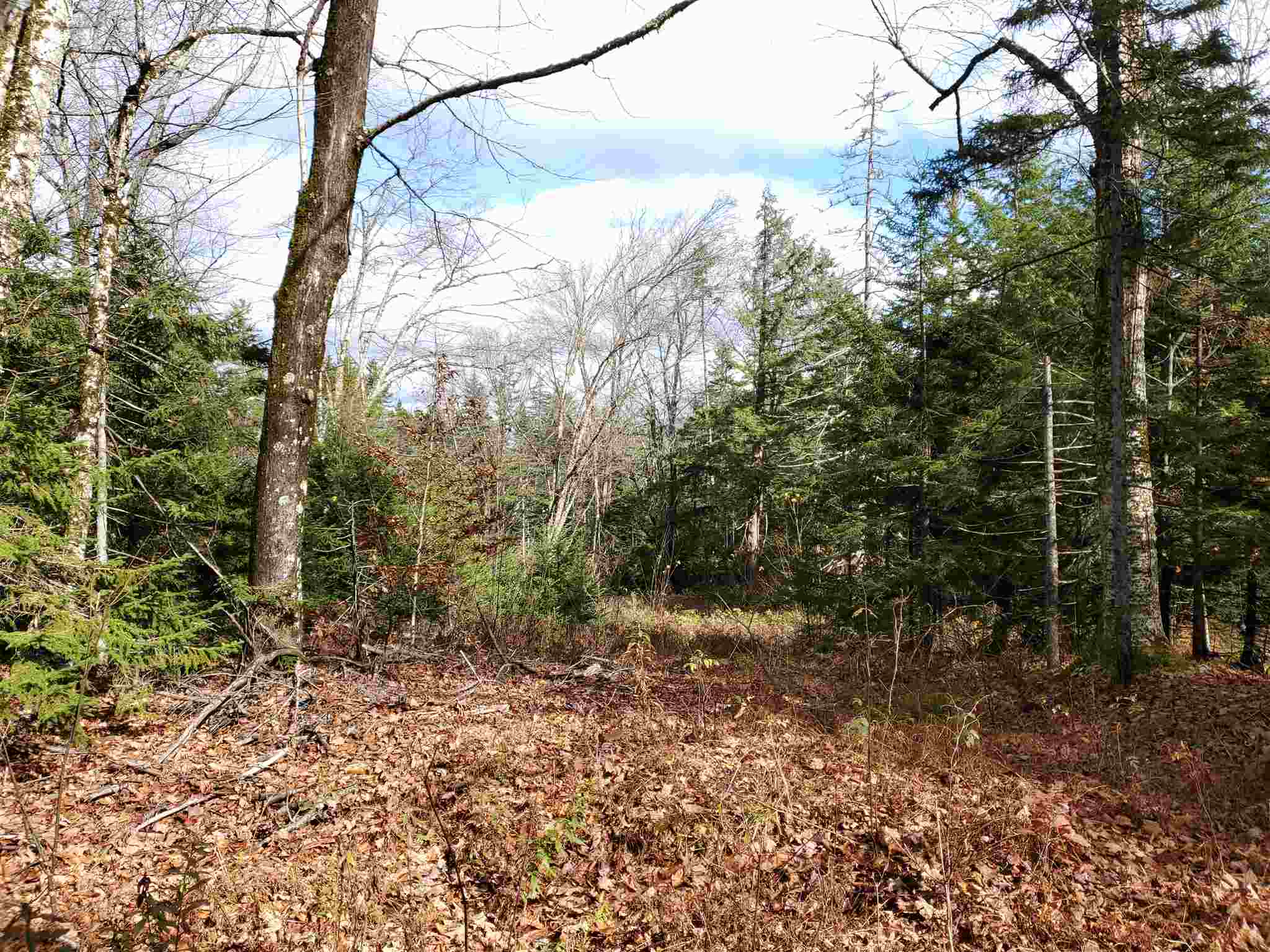 0 Sugarbush Road Chester, VT 05143 - Photo 22 of 28