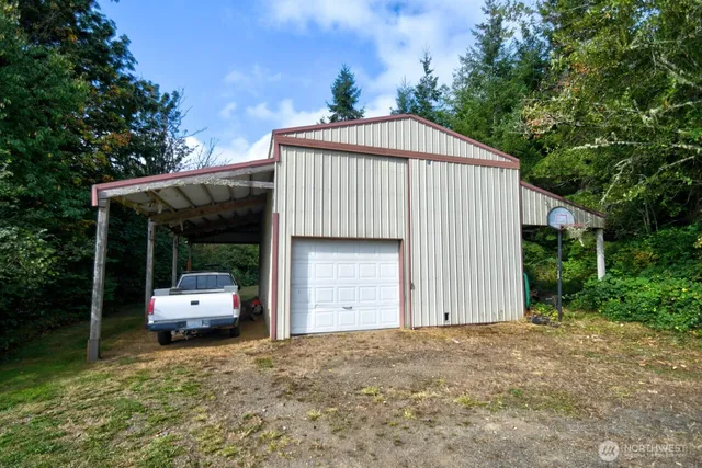 a view of a yard with a large trees