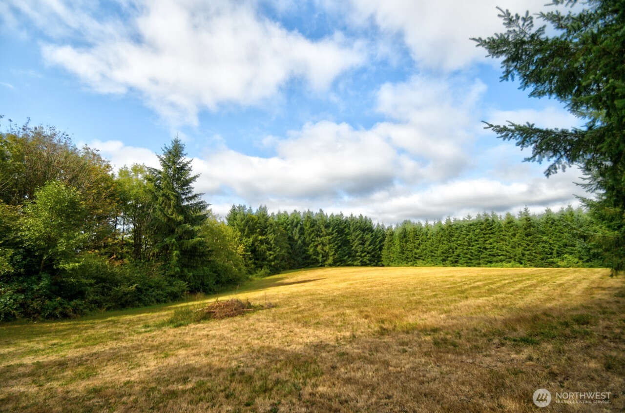 378 Burnt Ridge Road Onalaska, WA 98570 - Photo 36 of 40 a view of a yard with a large trees