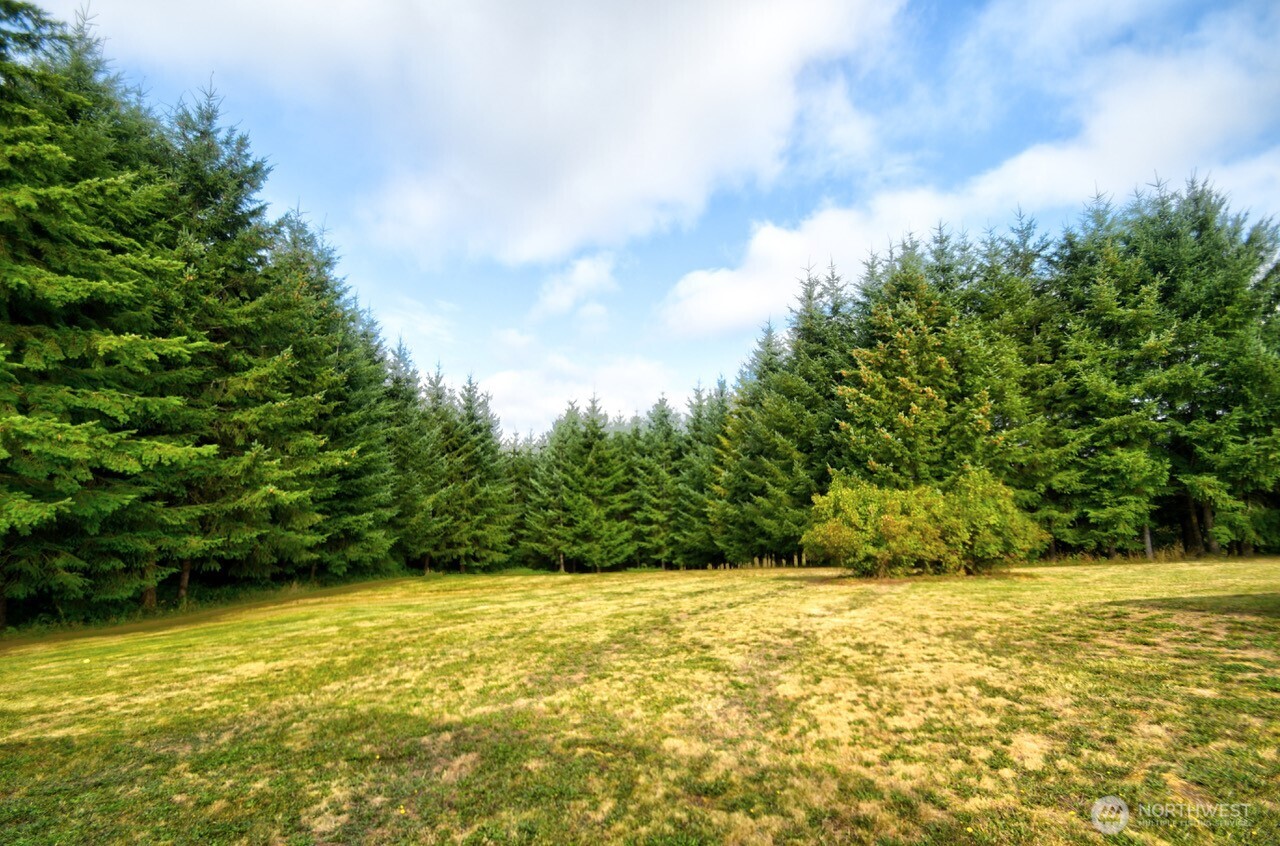 378 Burnt Ridge Road Onalaska, WA 98570 - Photo 37 of 40 a view of outdoor space and yard