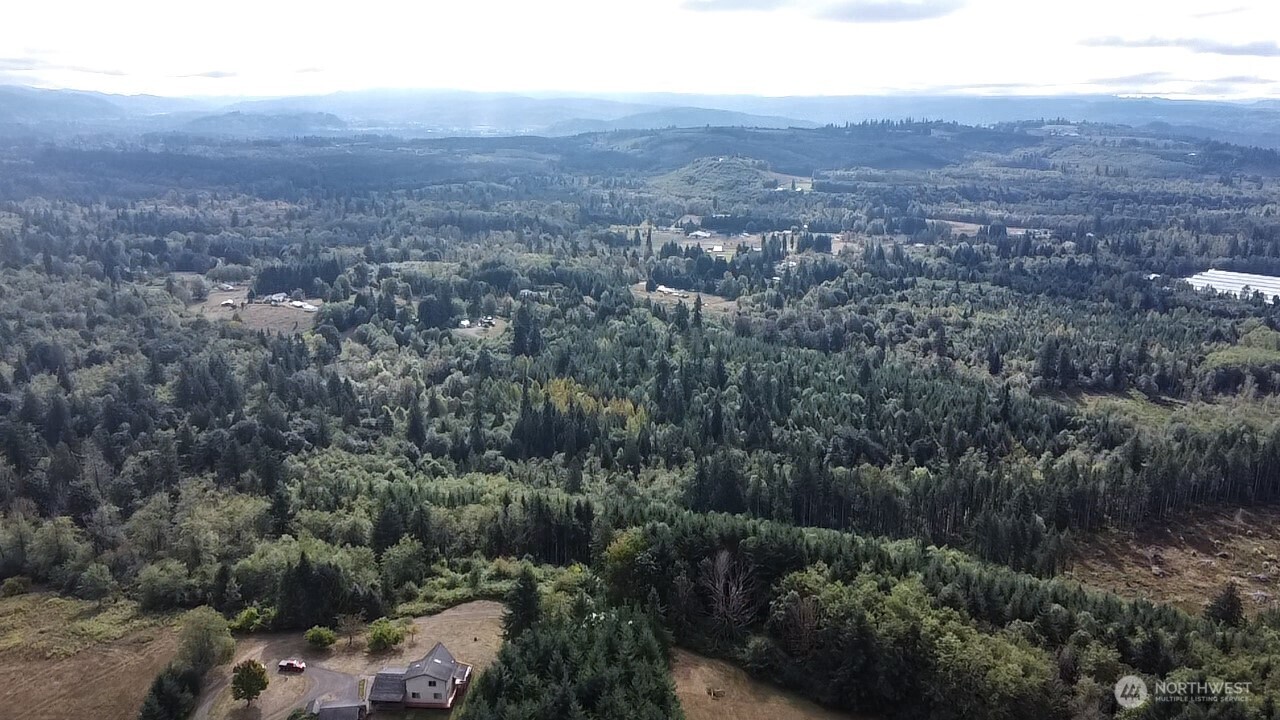 378 Burnt Ridge Road Onalaska, WA 98570 - Photo 38 of 40 an aerial view of residential house and green space