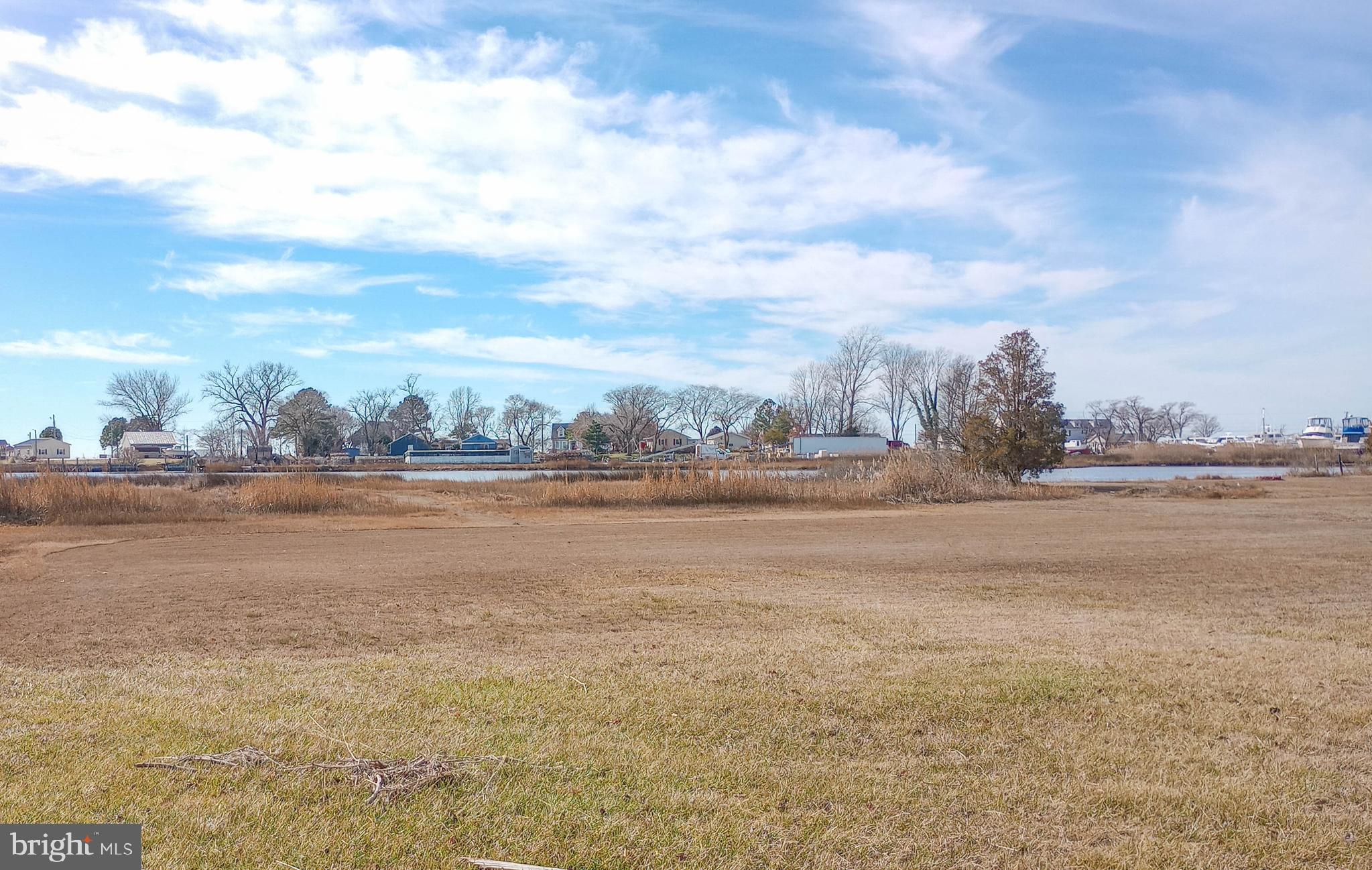 23367 Cove Road Deal Island, MD 21821 - Photo 1 of 17