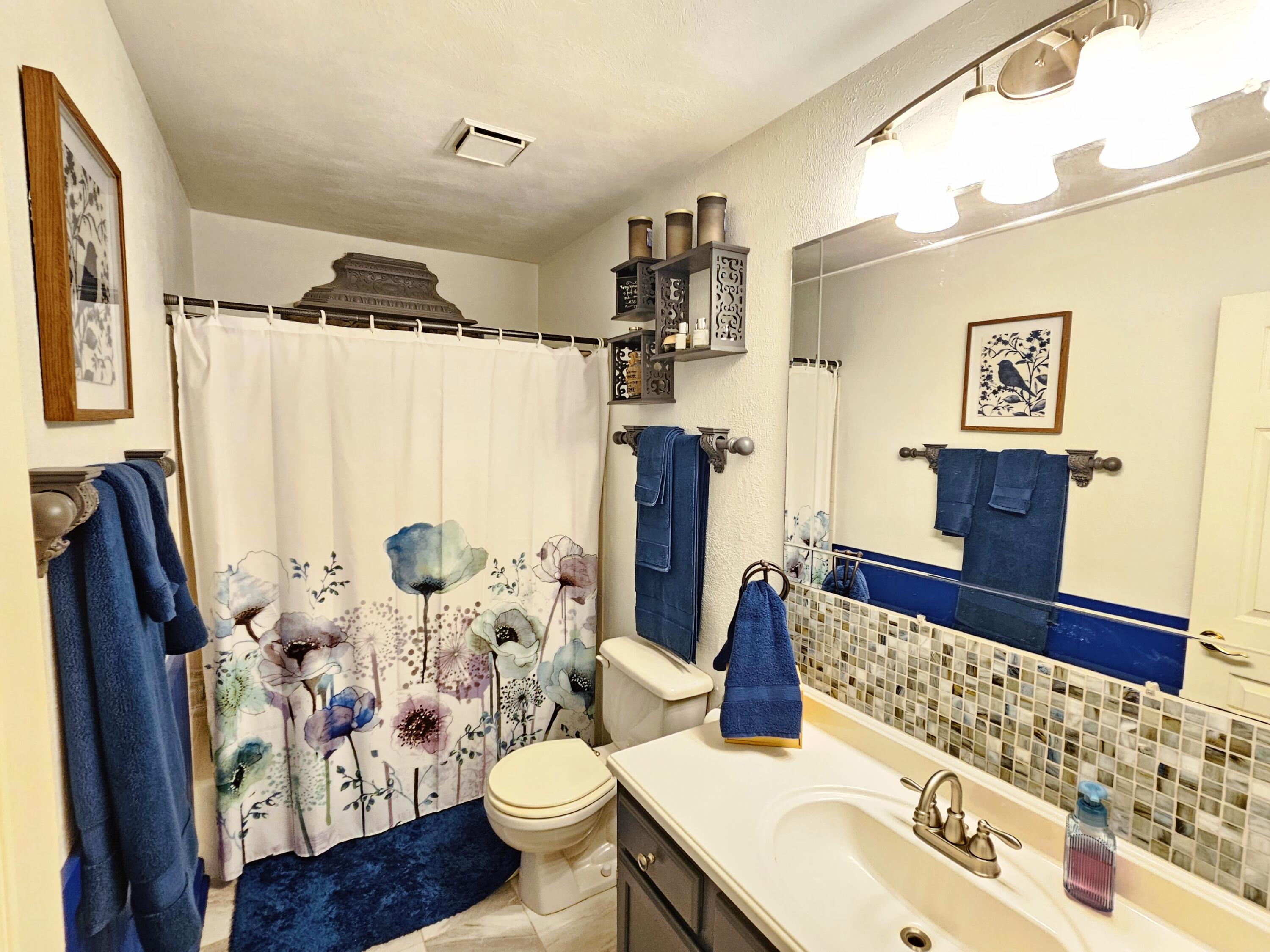 593 Sherwood Drive Blue Ridge, VA 24064 - Photo 11 of 26 Full Bath