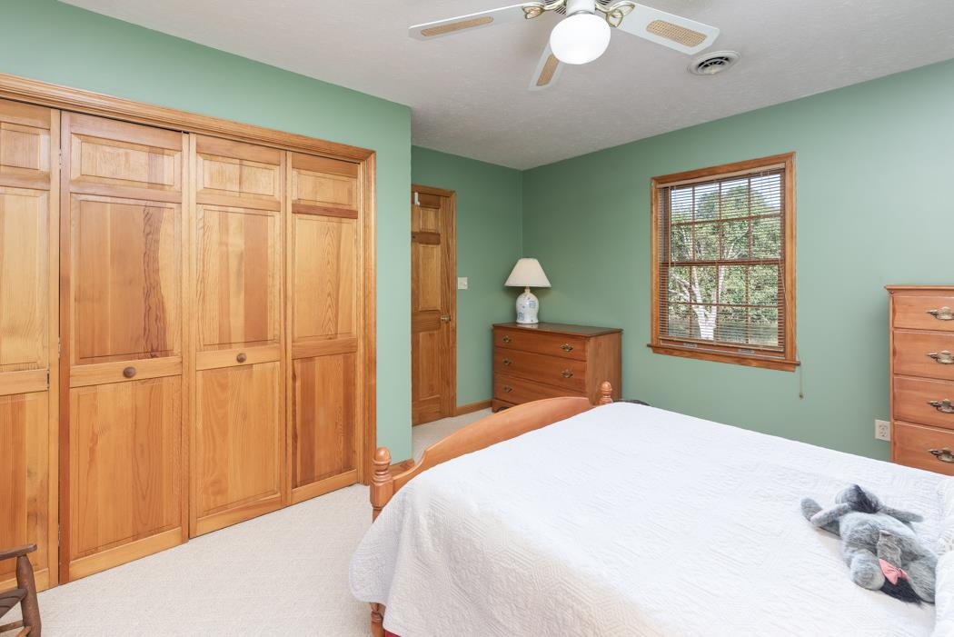 1284 Limestone Road Mount Sidney, VA 24467 - Photo 48 of 65 a bedroom with a large bed and a chandelier