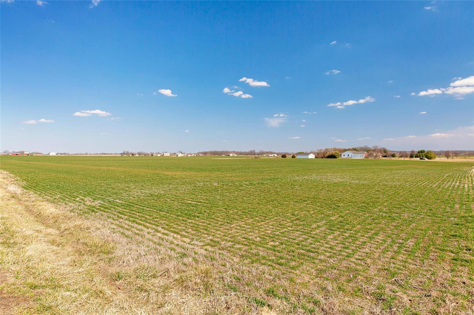 0 Andy Road, Unit 11 Waterloo, IL 62298 - Photo 2 of 3