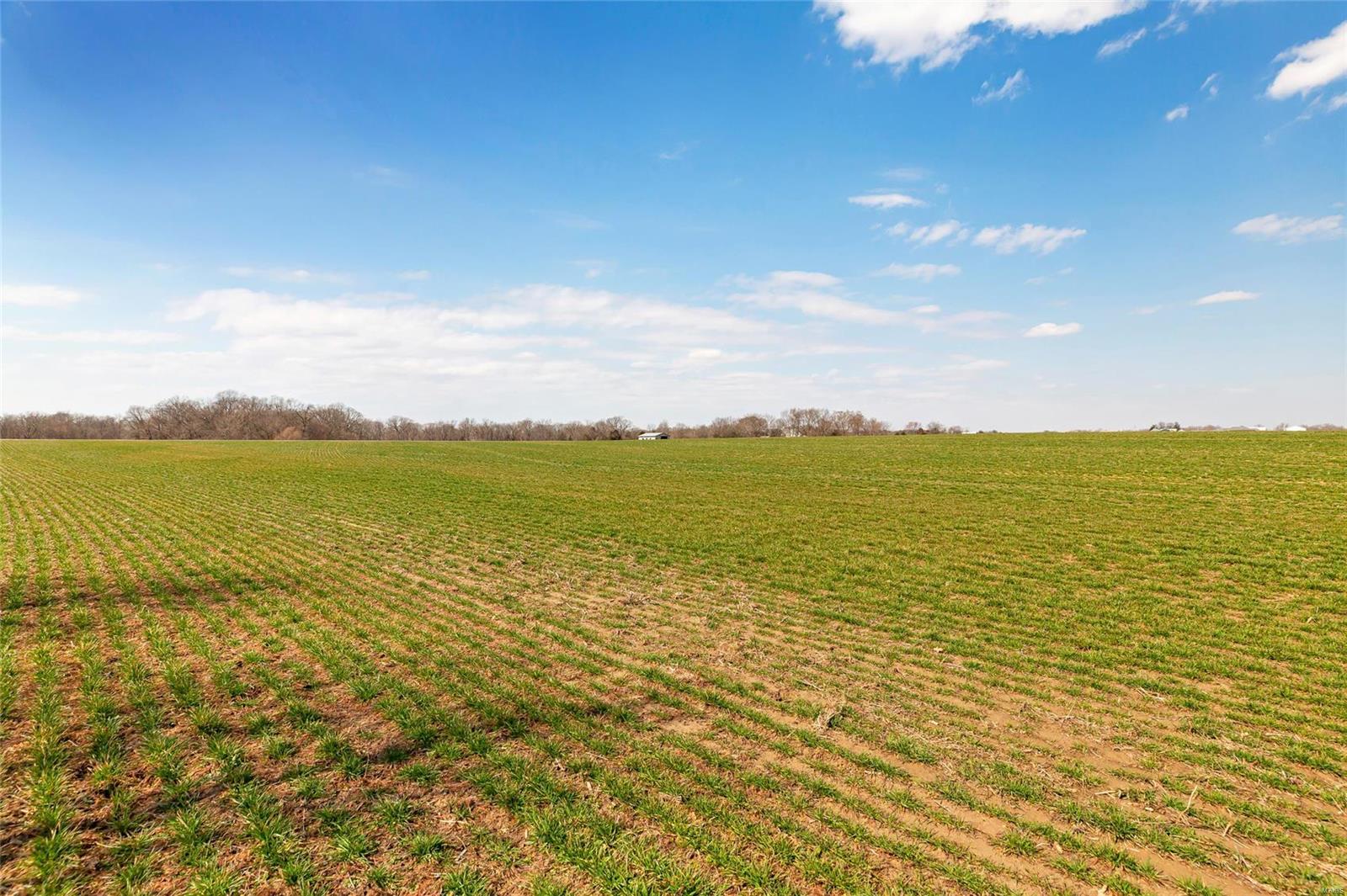 0 Andy Road, Unit 11 Waterloo, IL 62298 - Photo 3 of 3