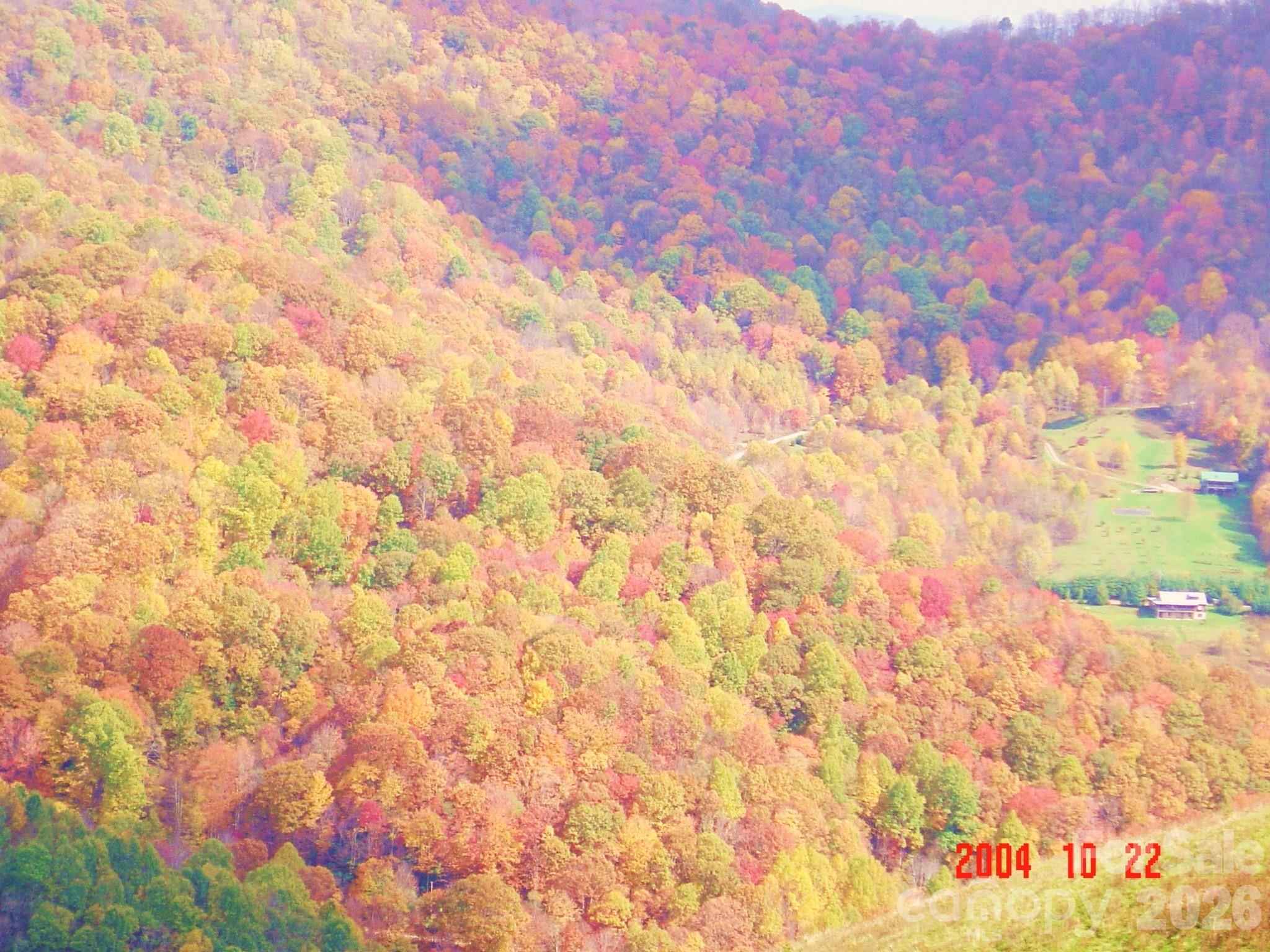 1050 Turkey Trot Road Clyde, NC 28721 - Photo 12 of 22