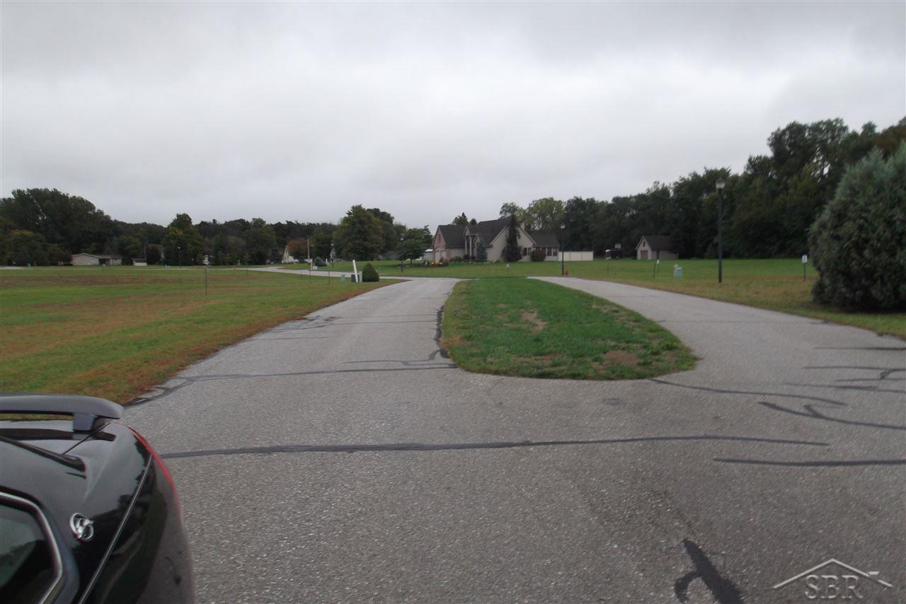 0 Adam Ridge Drive Sebewaing, MI 48759 - Photo 6 of 6