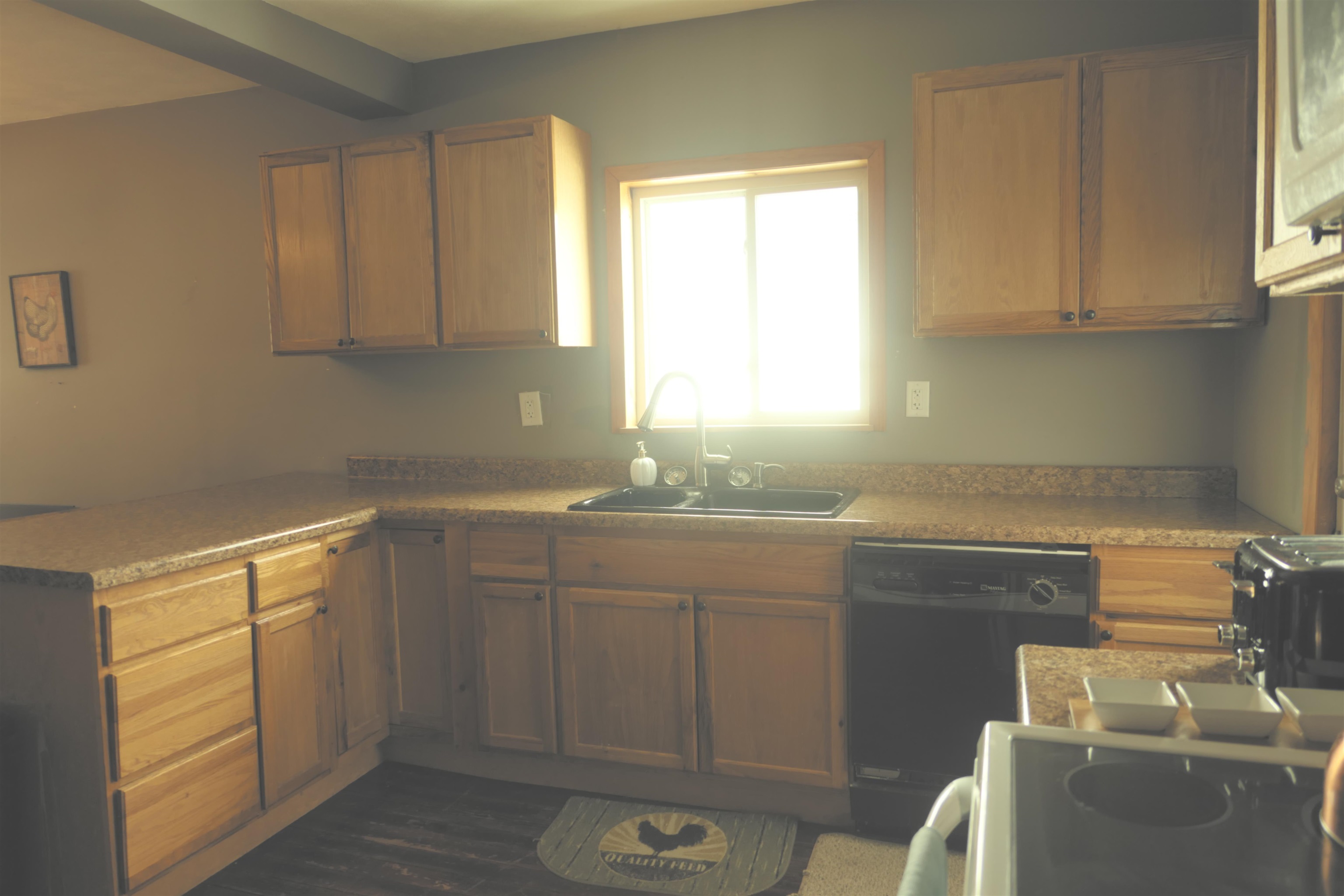 8568 South Pingree Road Middleton, MI 48856 - Photo 13 of 26 1896916-12.JPG