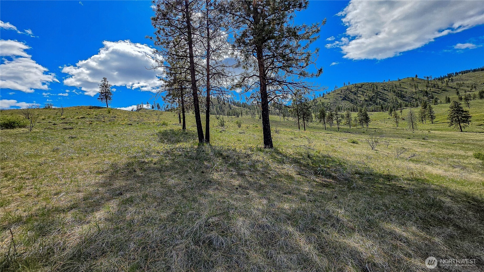 1 Washington Creek Road Chelan, WA 98816 - Photo 13 of 27 a view of a field with trees
