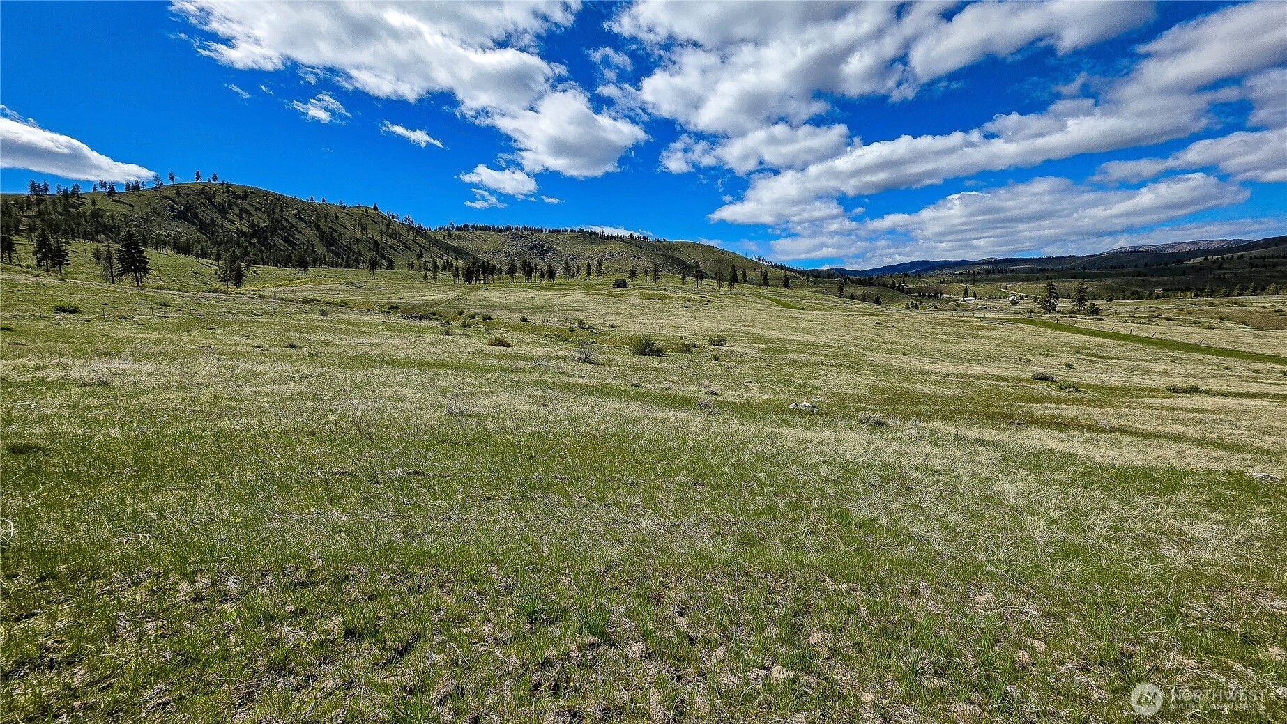 1 Washington Creek Road Chelan, WA 98816 - Photo 15 of 27 a view of a yard
