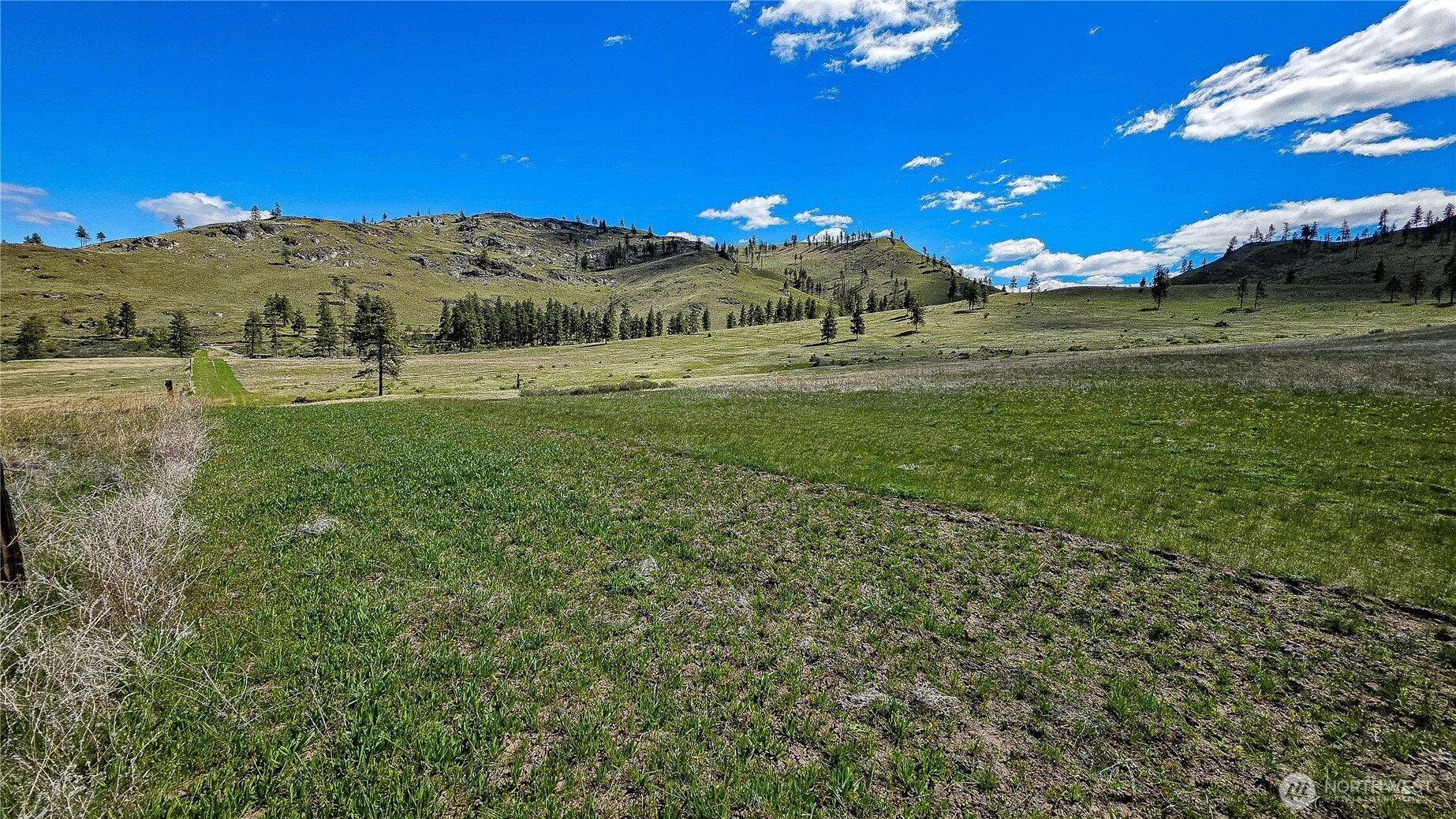 1 Washington Creek Road Chelan, WA 98816 - Photo 2 of 27 a view of a field