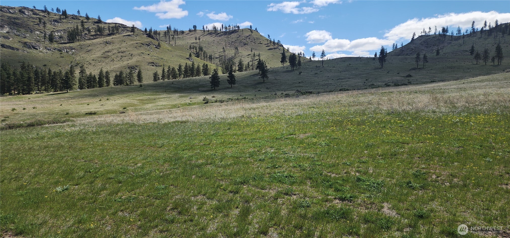 1 Washington Creek Road Chelan, WA 98816 - Photo 22 of 27 a view of a dry yard with trees