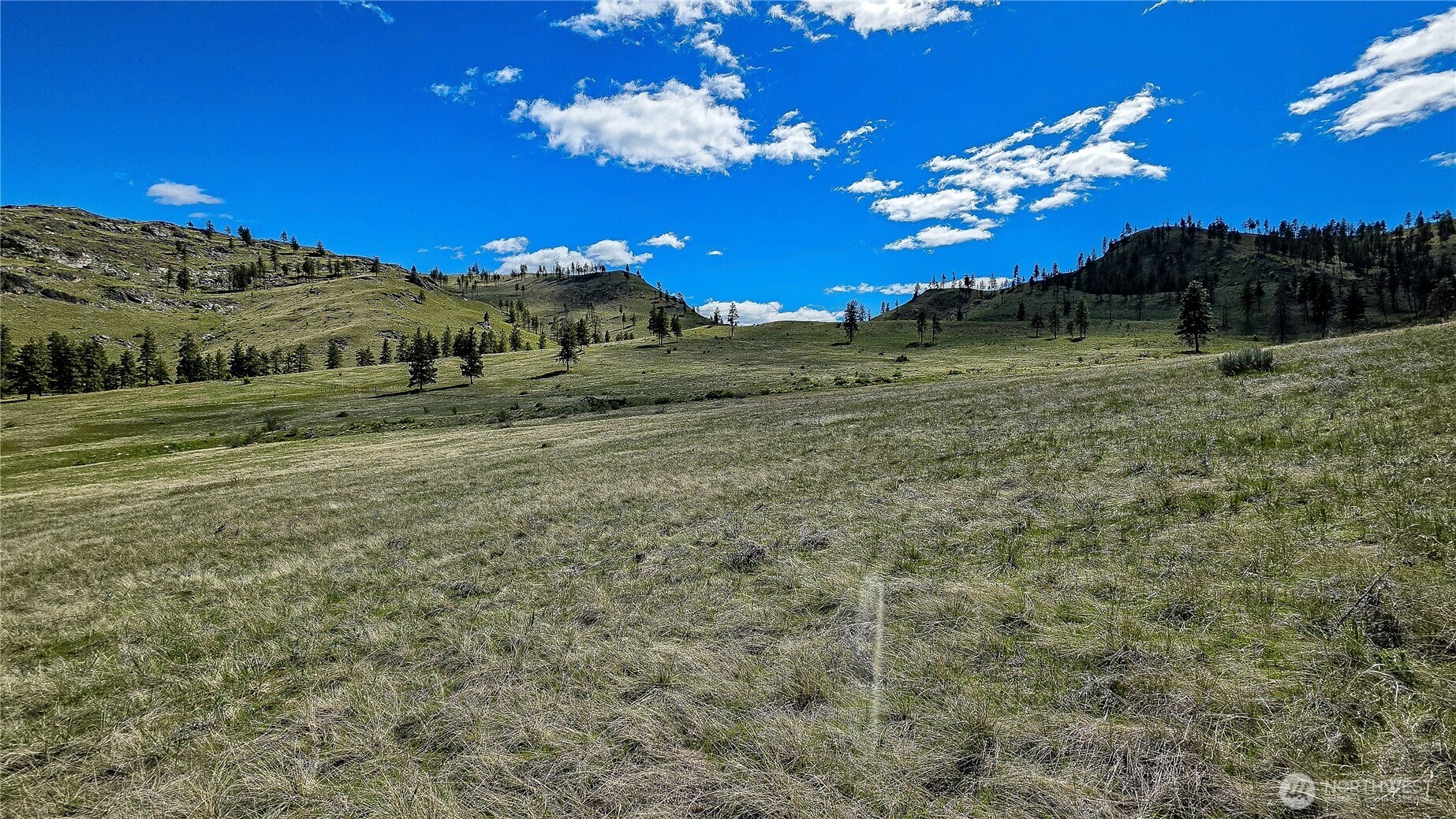 1 Washington Creek Road Chelan, WA 98816 - Photo 4 of 27 a view of a house with a yard