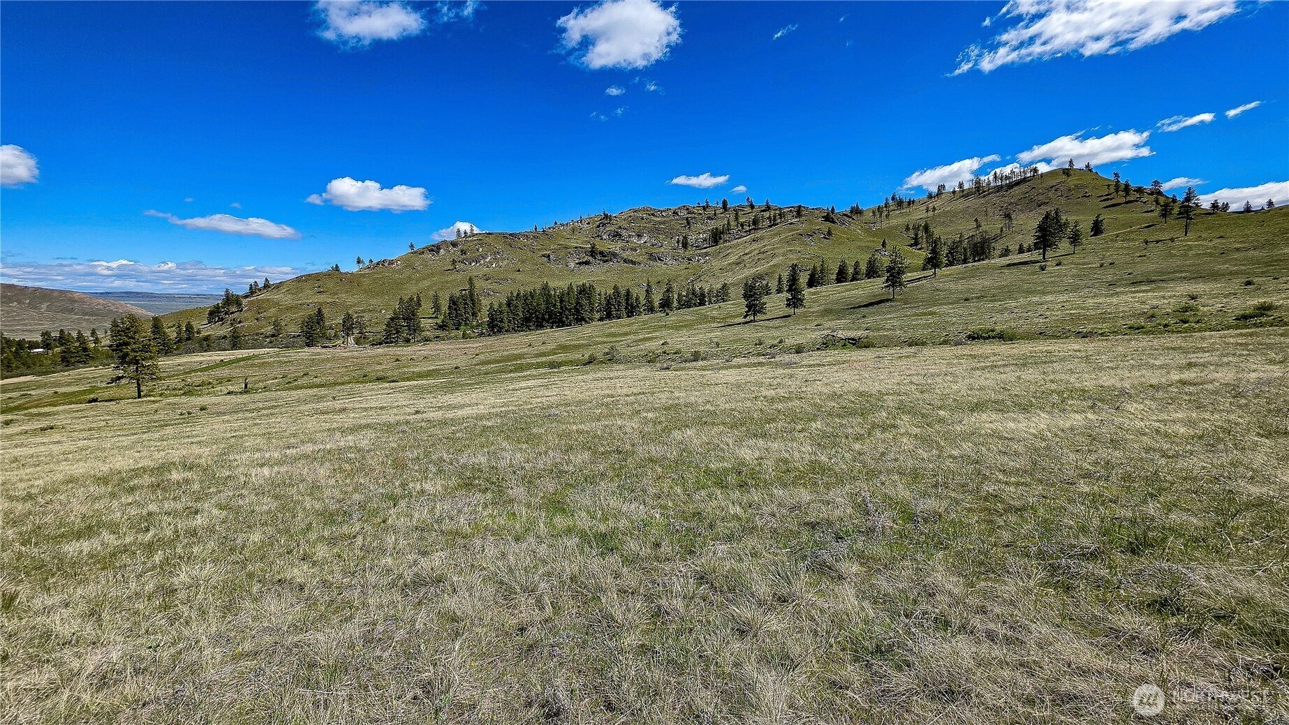 1 Washington Creek Road Chelan, WA 98816 - Photo 5 of 27 a view of a big yard with large trees