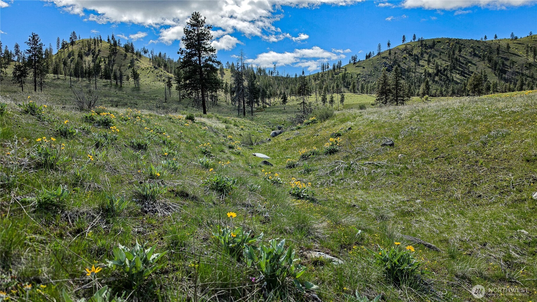 1 Washington Creek Road Chelan, WA 98816 - Photo 6 of 27 a view of a green field with lots of bushes