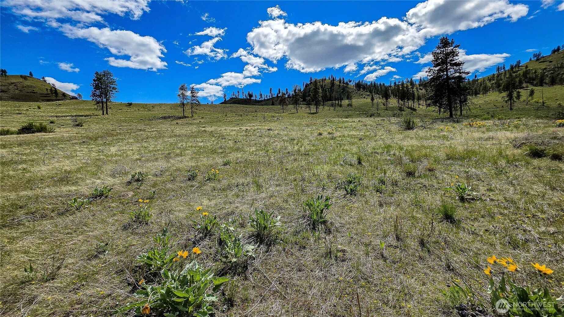 1 Washington Creek Road Chelan, WA 98816 - Photo 8 of 27 a view of a yard with a house