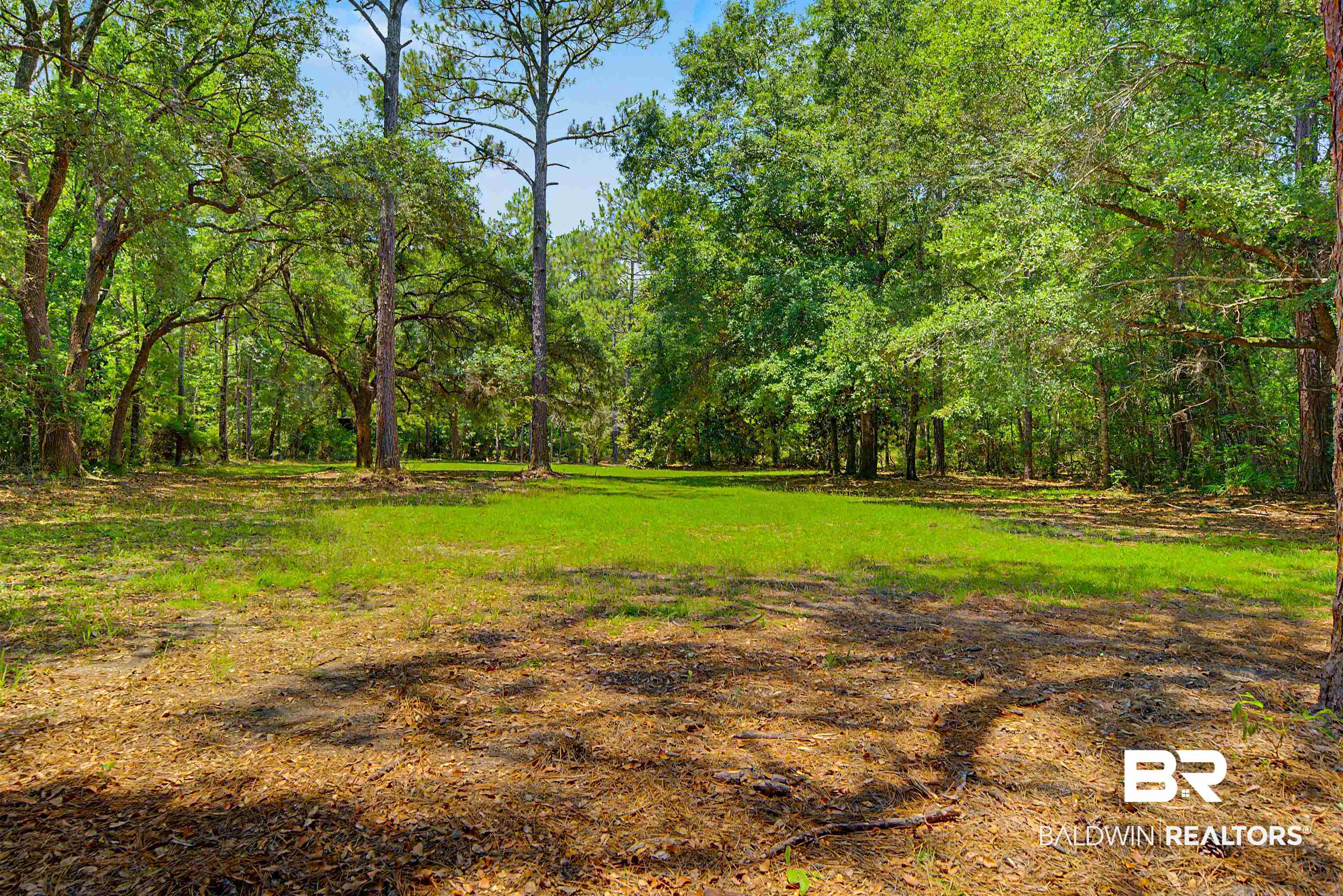 22963 Highway 98 Foley, AL 36535 - Photo 42 of 52 Expansive grassy clearing surrounded by mature trees, offering a significant natural setting