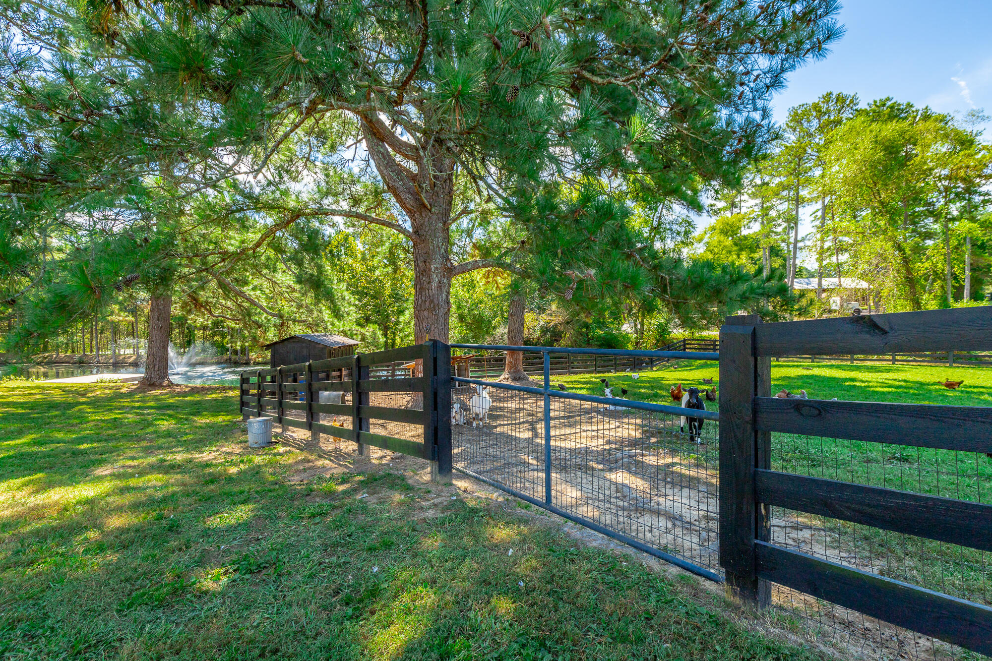 3481 Post Oak Road Ringgold, GA 30736 - Photo 87 of 112 3481 Post Oak Road HD-125