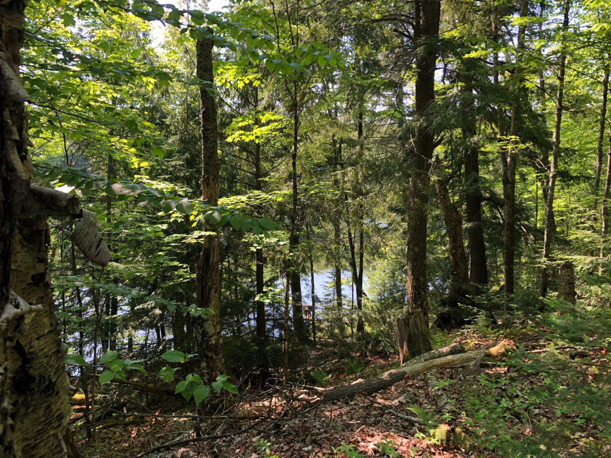 7648 Crab Lake Road Presque Isle, WI 54557 - Photo 41 of 70 Gallery Image 41