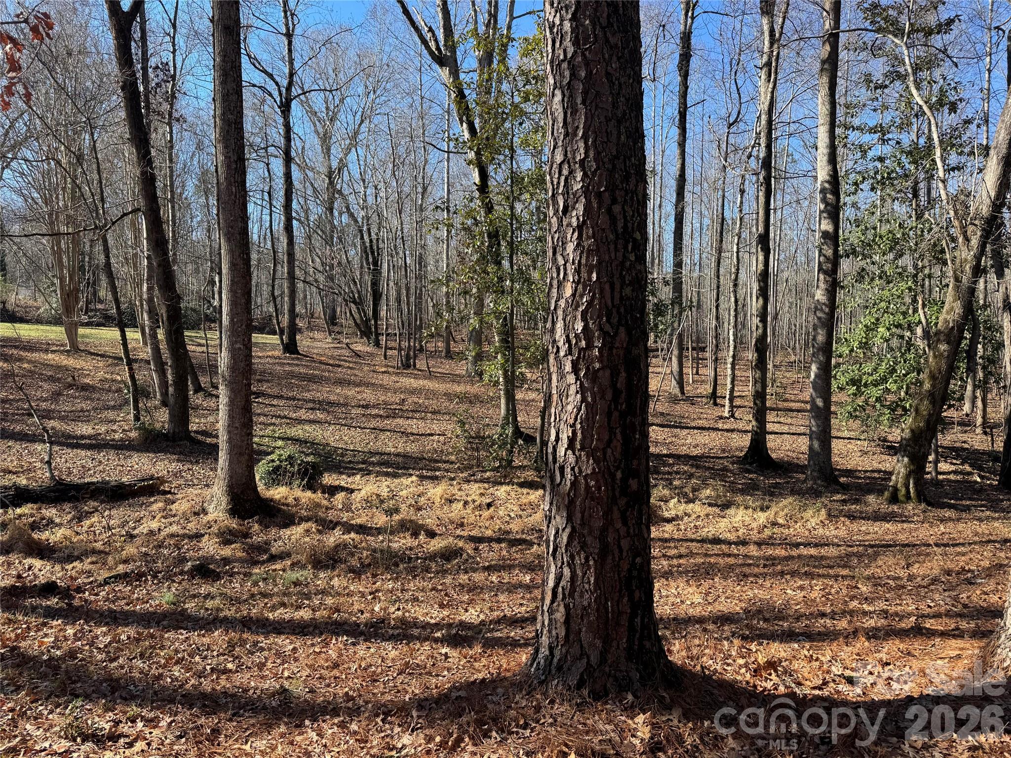 0 Biscoe Road Troy, NC 27371 - Photo 1 of 13