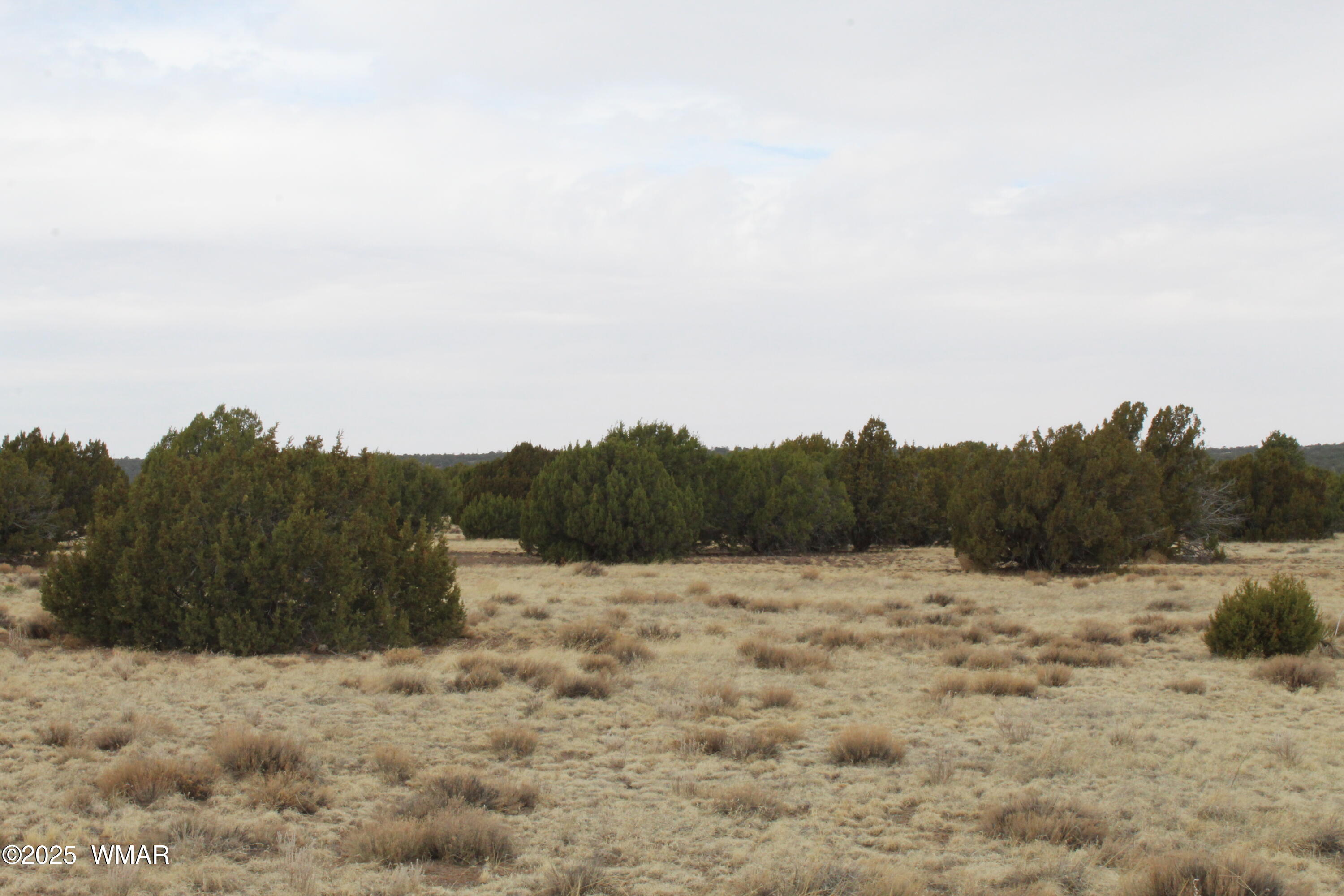 21 County Road Concho, AZ 85924 - Photo 13 of 22 a view of a field