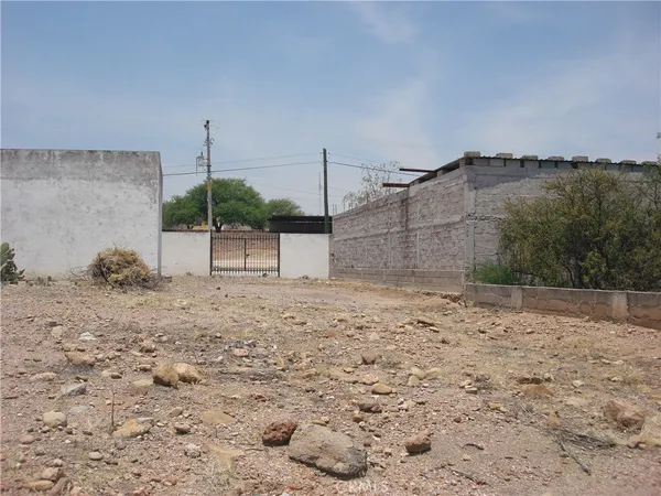 a view of a dry yard