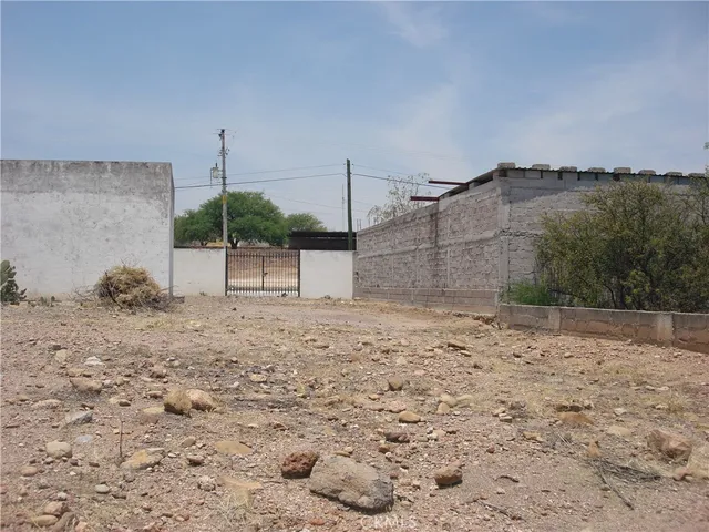 a view of a dry yard