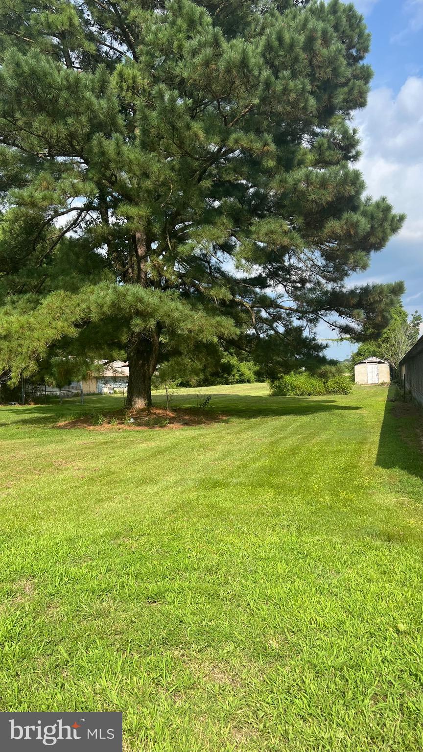 11229 Stewart Neck Road Princess Anne, MD 21853 - Photo 2 of 9 a view of an ocean from a yard