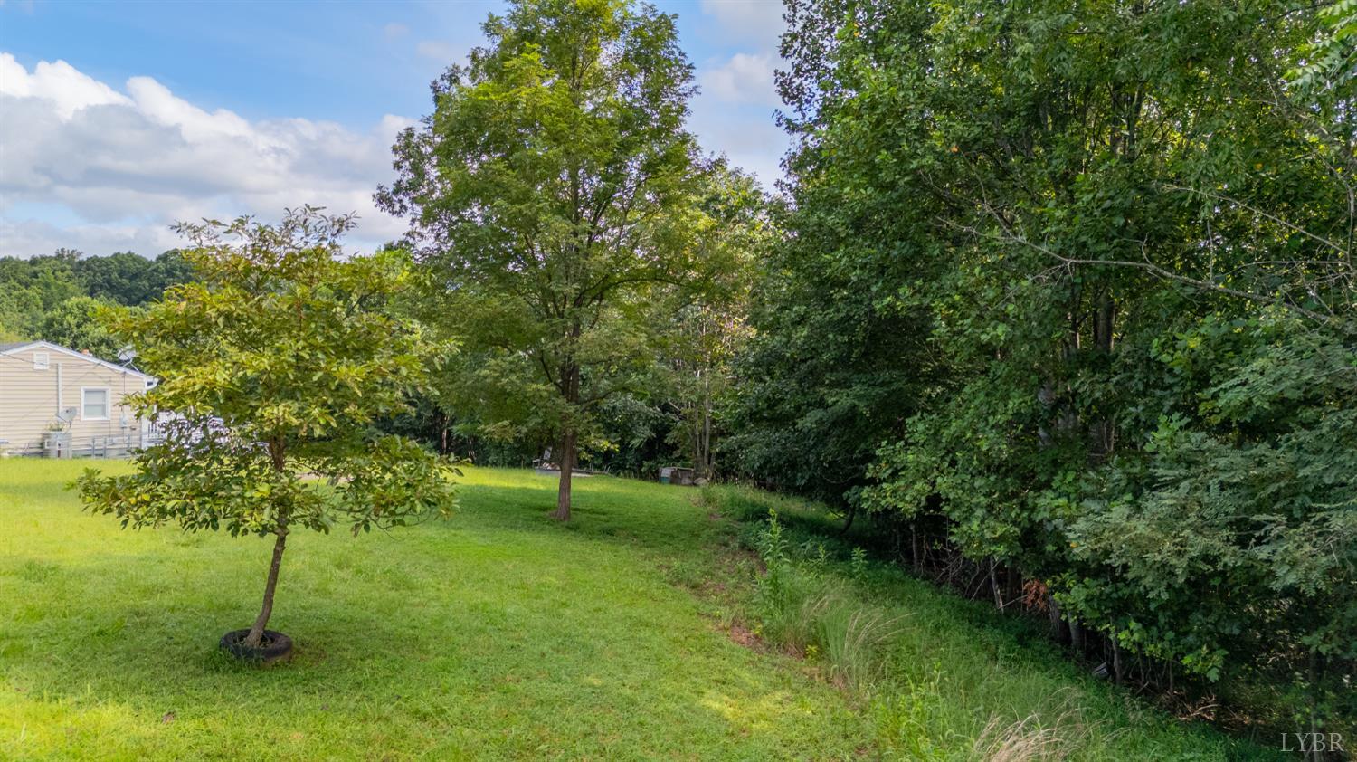 473 Forest Sale Road Amherst, VA 24521 - Photo 29 of 39 a view of a green field with a tree