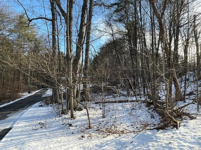 233 Silver Spr Road Cairo, NY 12413 - Photo 11 of 11 Photo 11