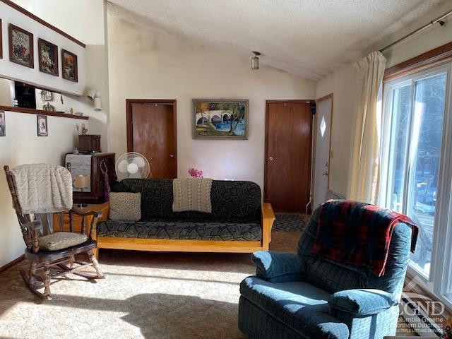 233 Silver Spr Road Cairo, NY 12413 - Photo 2 of 11 Photo 2