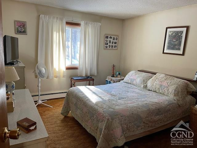 233 Silver Spr Road Cairo, NY 12413 - Photo 4 of 11 Bed room near full bath room